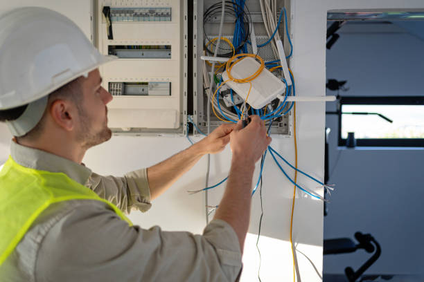 Best Home Electrical Repair  in Lyons, WI